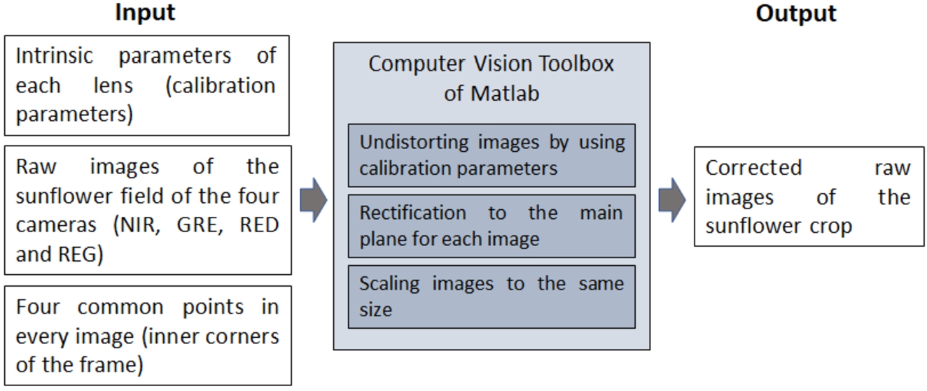 infor498_g009.jpg