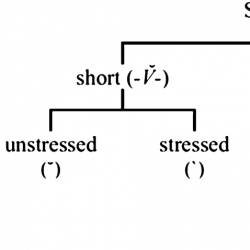 infor502_g003.jpg