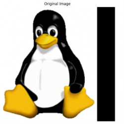 infor608_g016.jpg