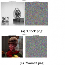 infor608_g019.jpg