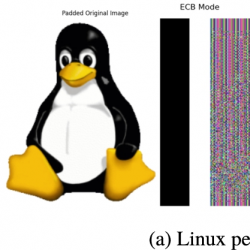 infor608_g020.jpg