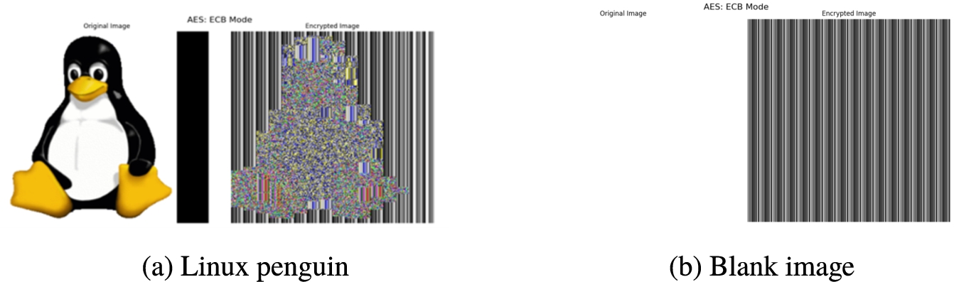 infor608_g008.jpg