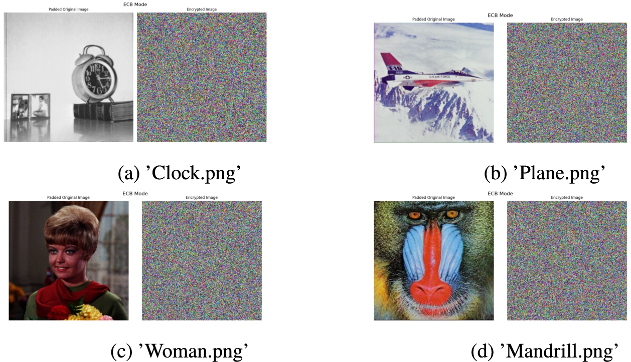 infor608_g019.jpg